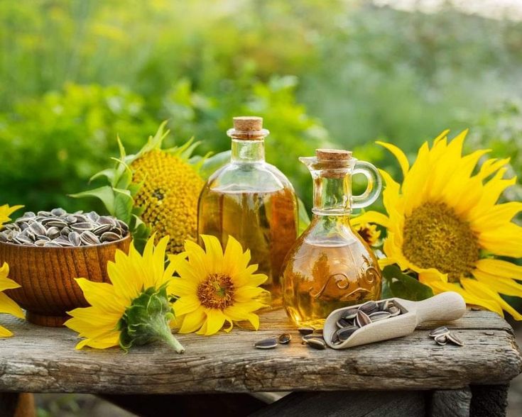 Required Certifications for Exporting & Importing Iranian Sunflower Oil (ISO, HACCP, Organic, Halal)